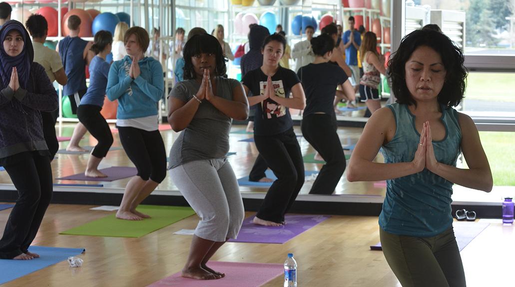 A group of students practicing yoga